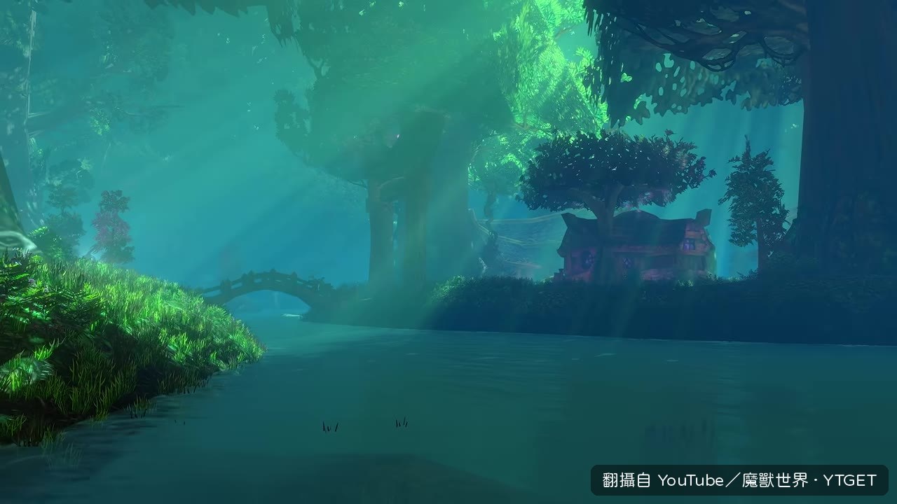 穿過遠古森林的幽靜之路