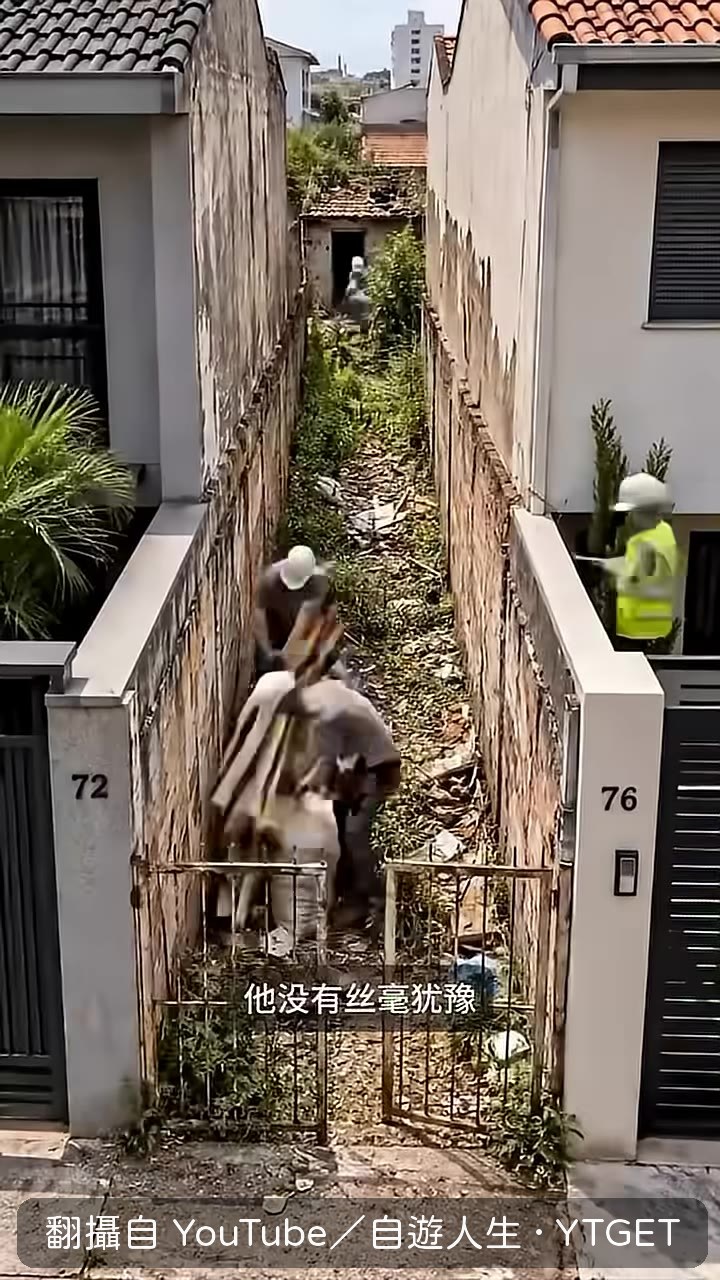 工人清理荒地雜草