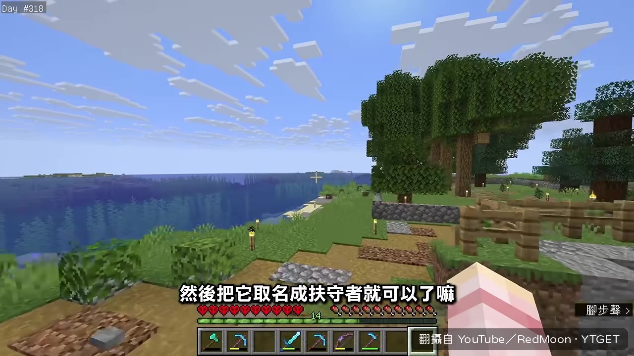 把村民取名成扶手者交差
