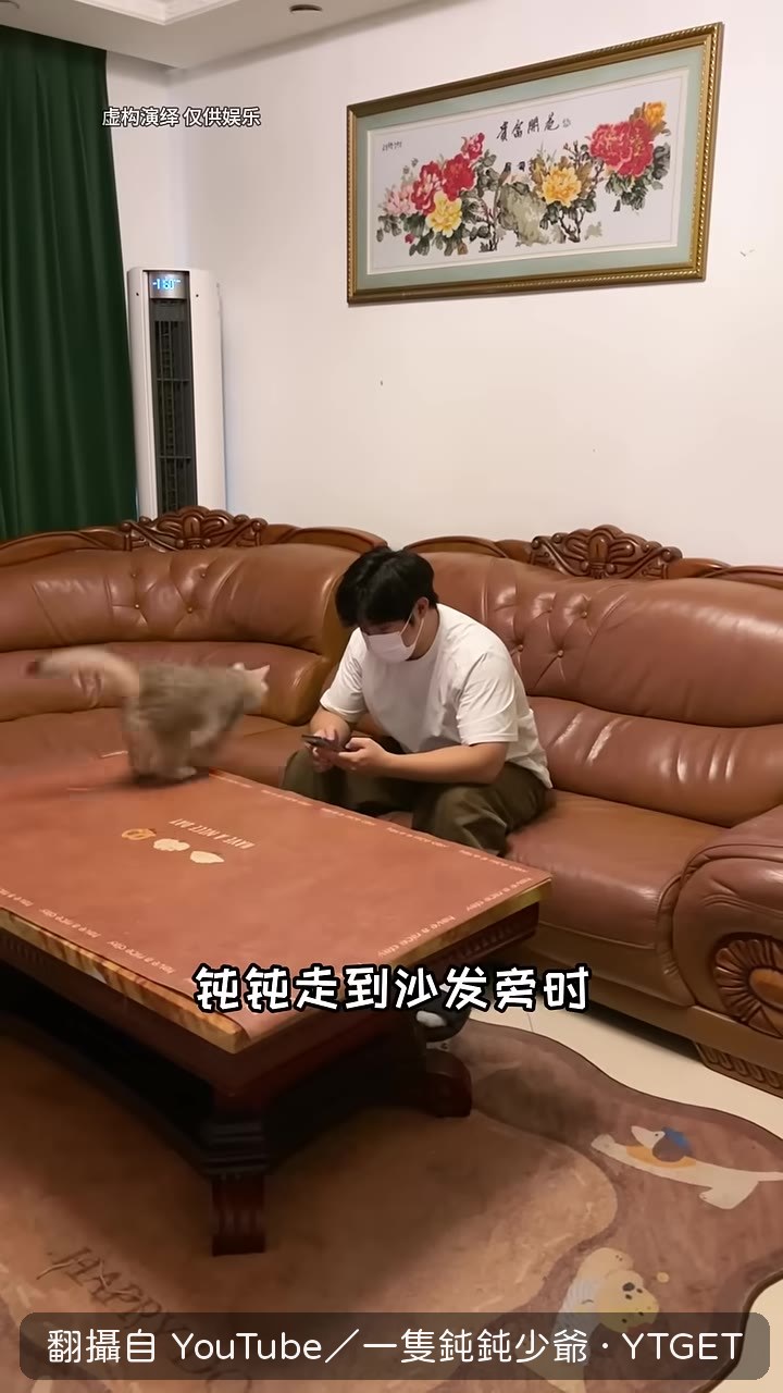 氣球跟著貓走