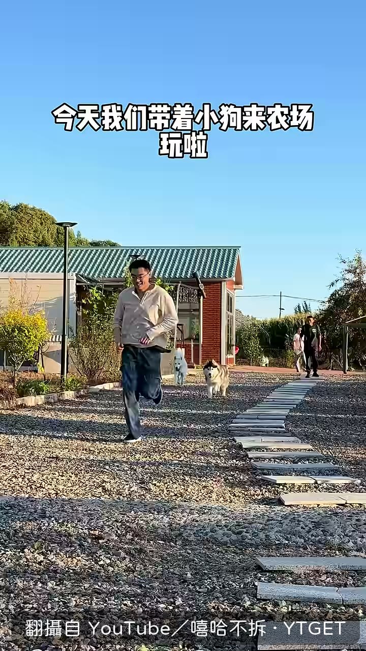 帶著小狗抵達農場
