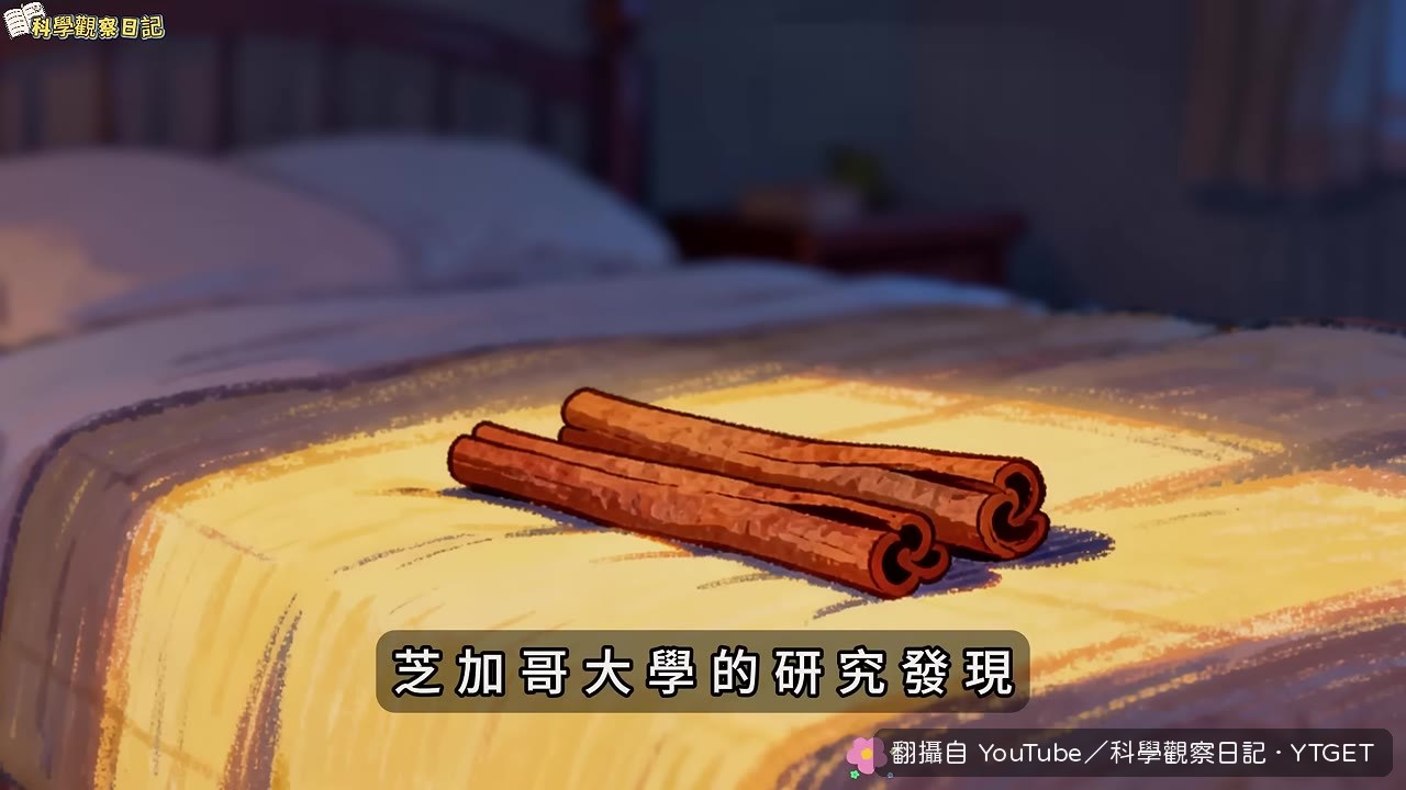睡不夠的人減脂效率少五成五