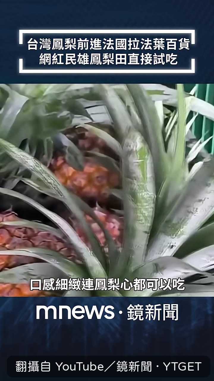 鳳梨心連心都可以吃