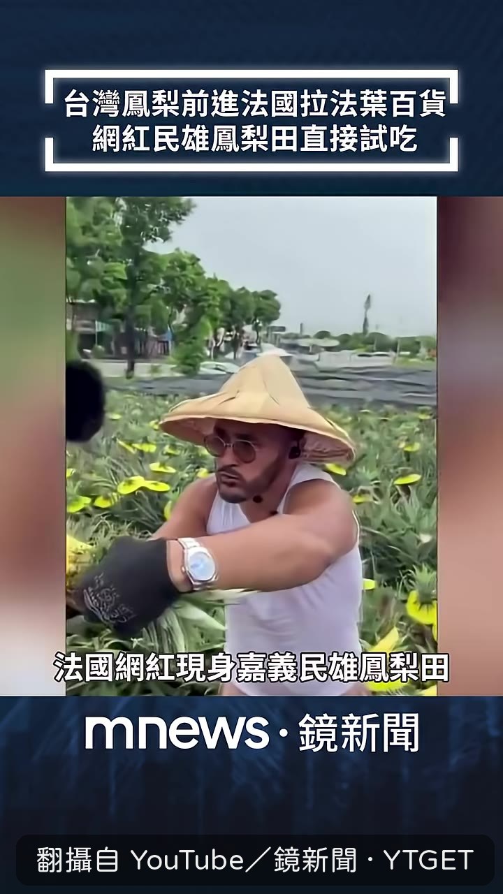 法國網紅在鳳梨田整支狂啃