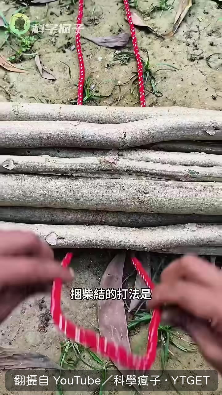 捆柴結對折留雙環交叉拉緊