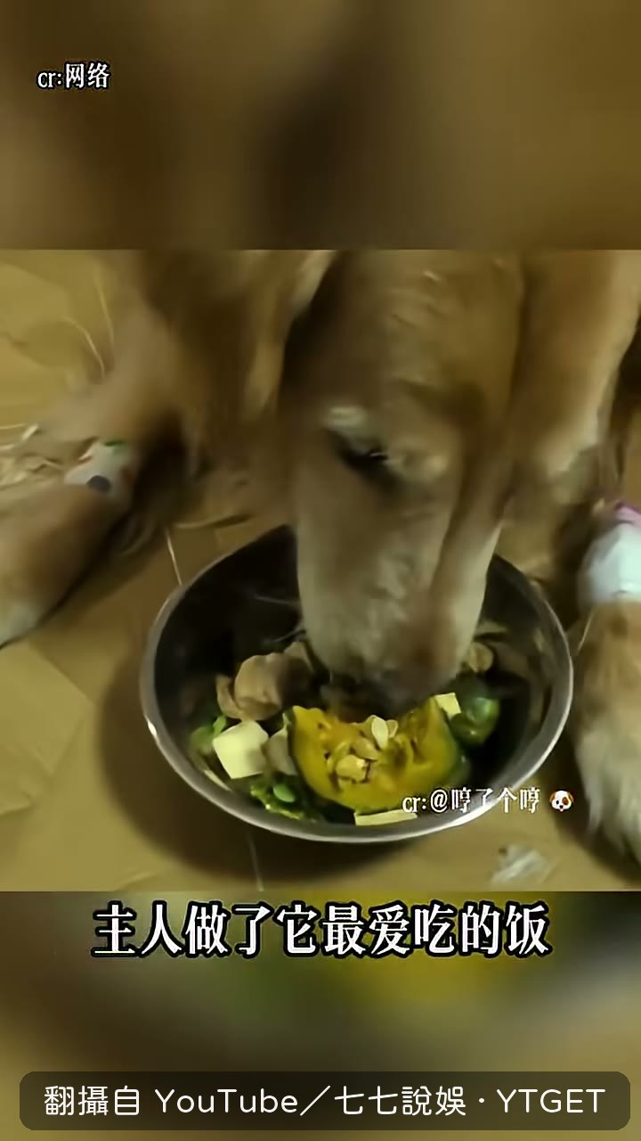 最後一頓飯裡放了一片南瓜