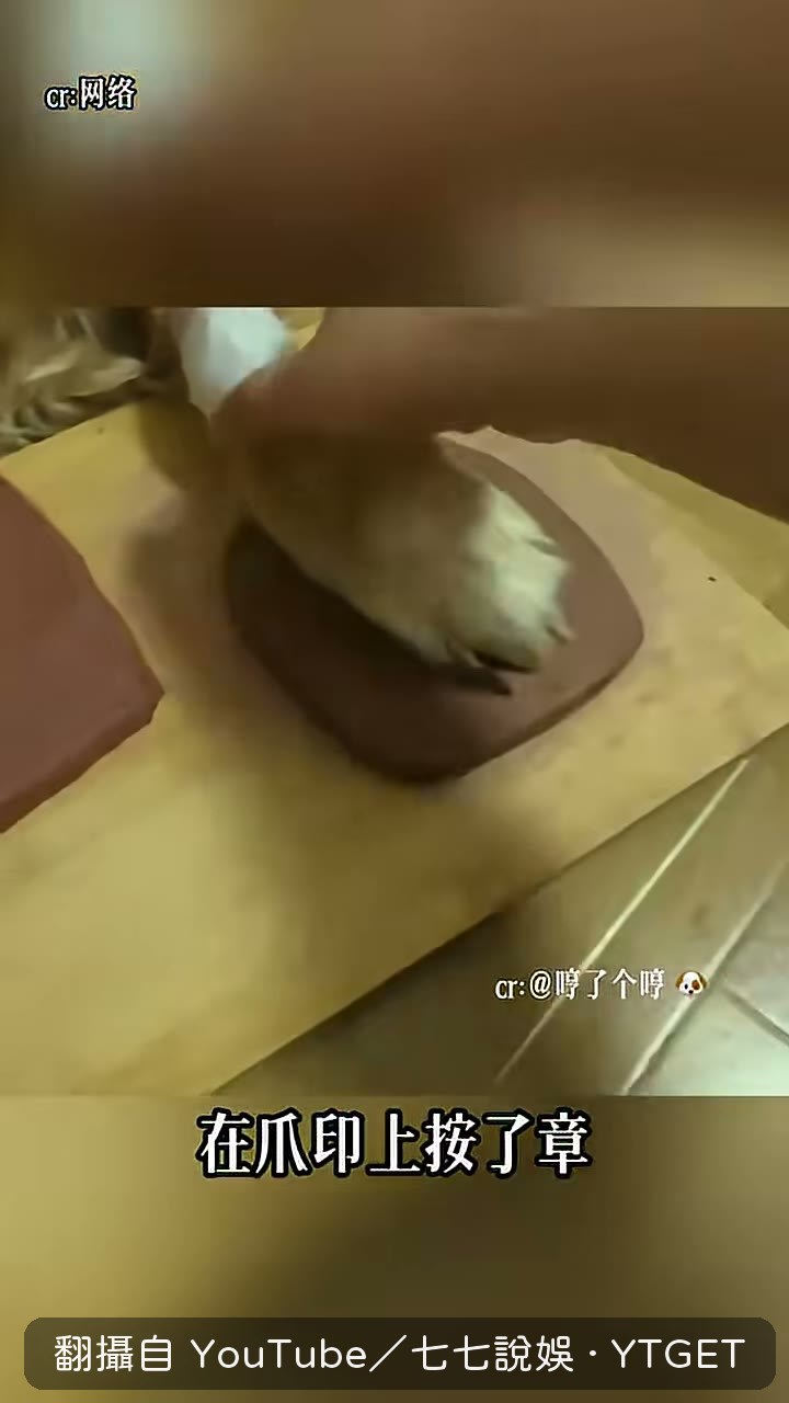 這輩子只能吃一次的巧克力