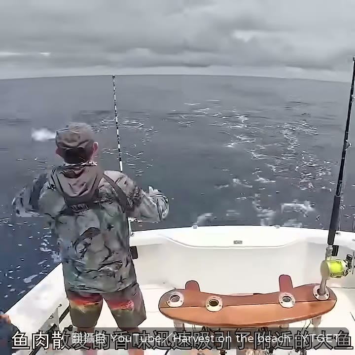 雷達上出現一群巨物靠近
