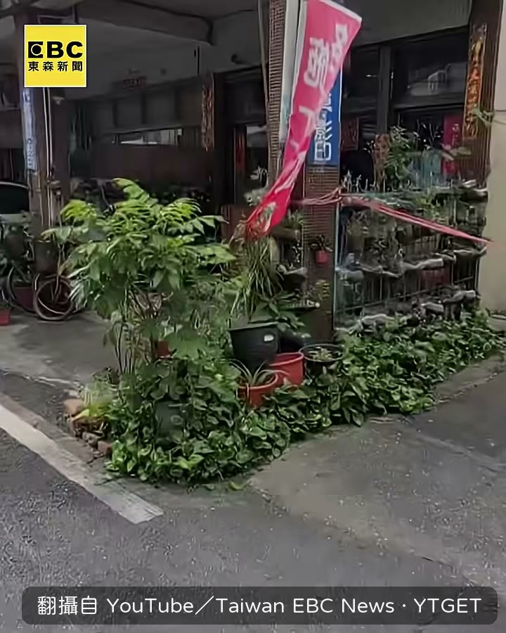 巷口三分之二被水桶和寶特瓶圍住