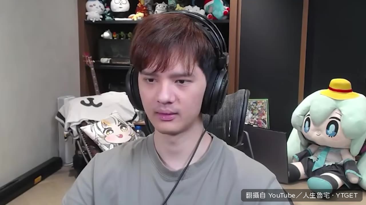貓咪客人頭上疑似有縫線
