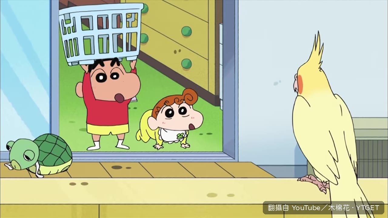 鸚鵡停在院子裡