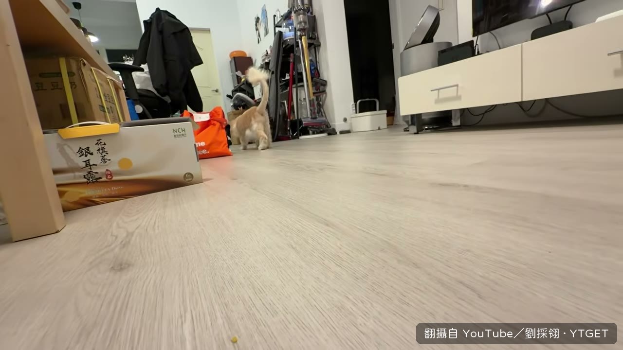 用兩張 IKEA 椅子代替沙發