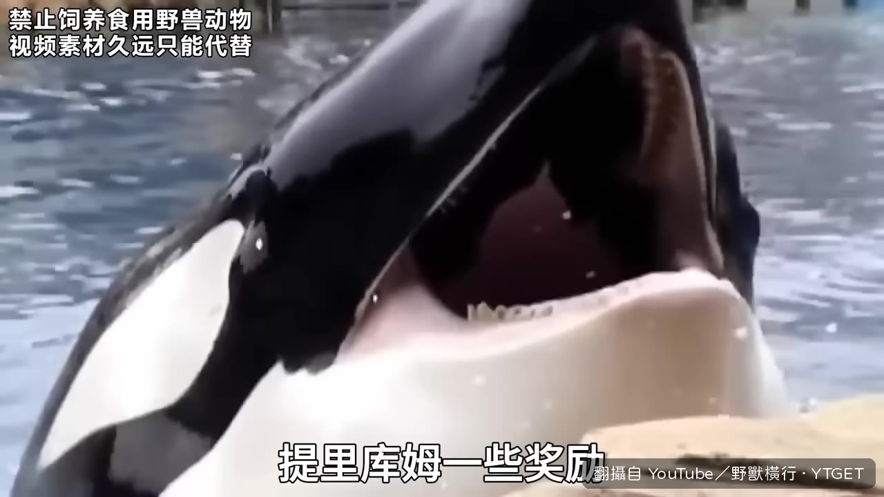 布蘭多伸手撫摸提裡庫姆