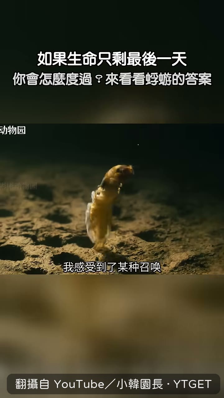 身體不由自主衝向水面