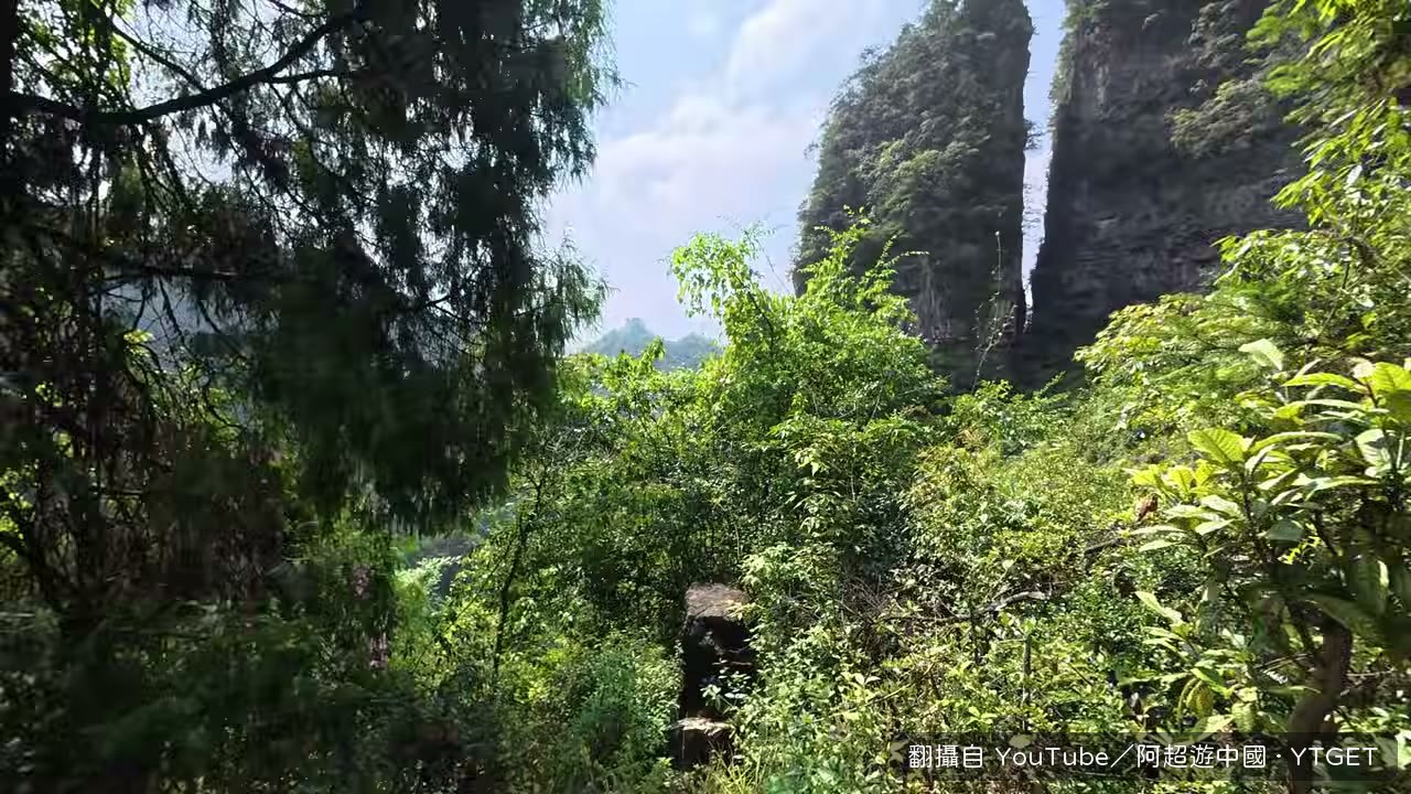 從岔路口遠望懸在峽谷上的吊橋