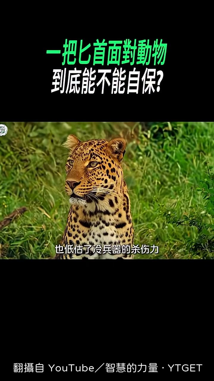 匕首的優勢就是不挑體位