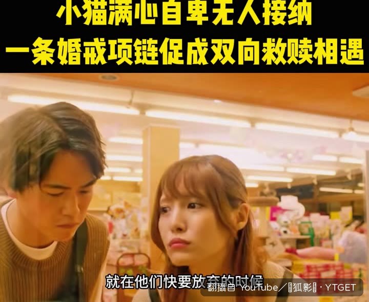 夫妻嫌棄貓咪長得醜