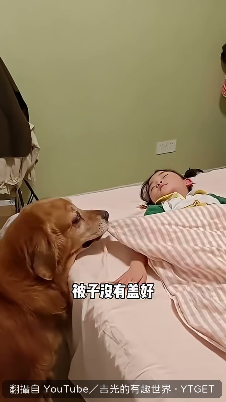 哈利咬住被子幫妹妹重新蓋好