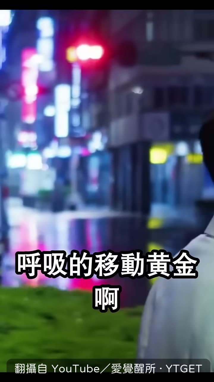 賽鴿進口要價數百萬美元