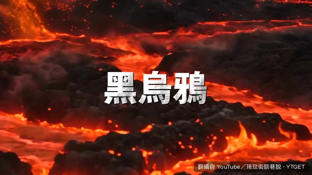 黑烏鴉象徵死神降臨