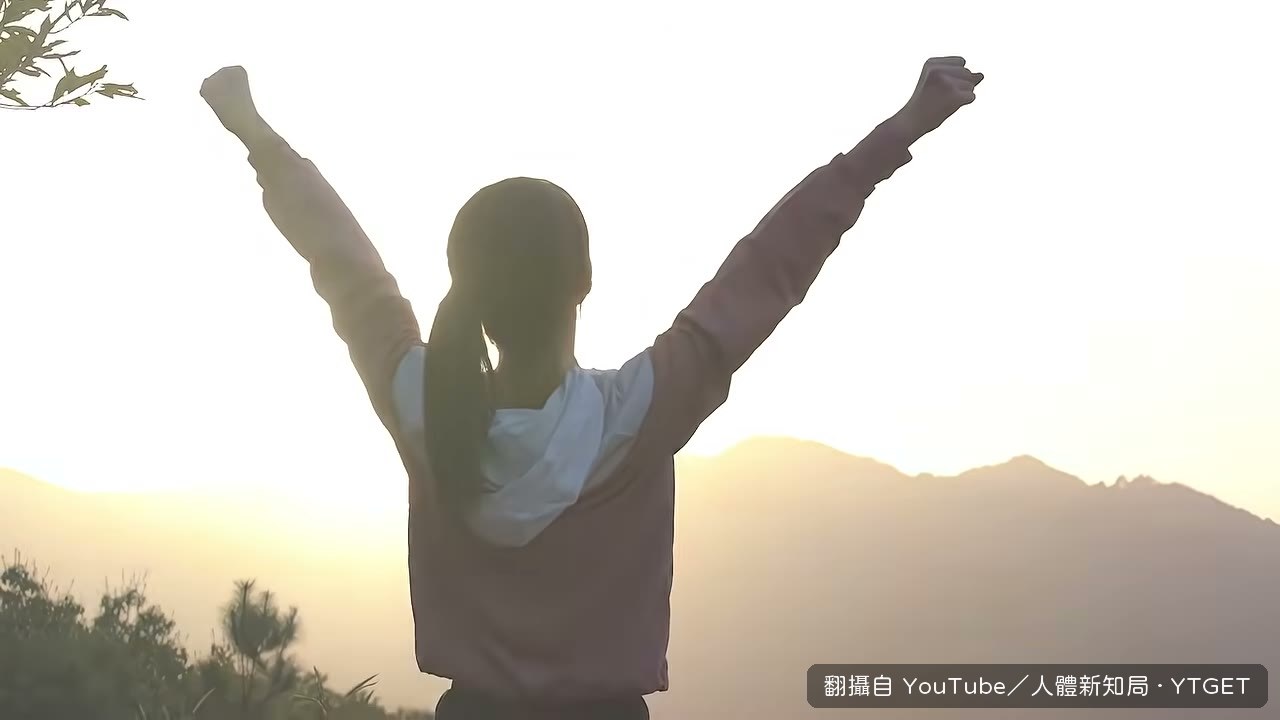 線粒體被比喻成肌肉裡的發電廠