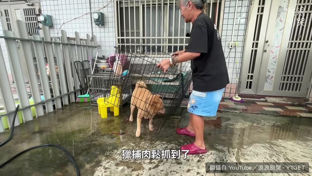 獵捕肉鬆抓到了