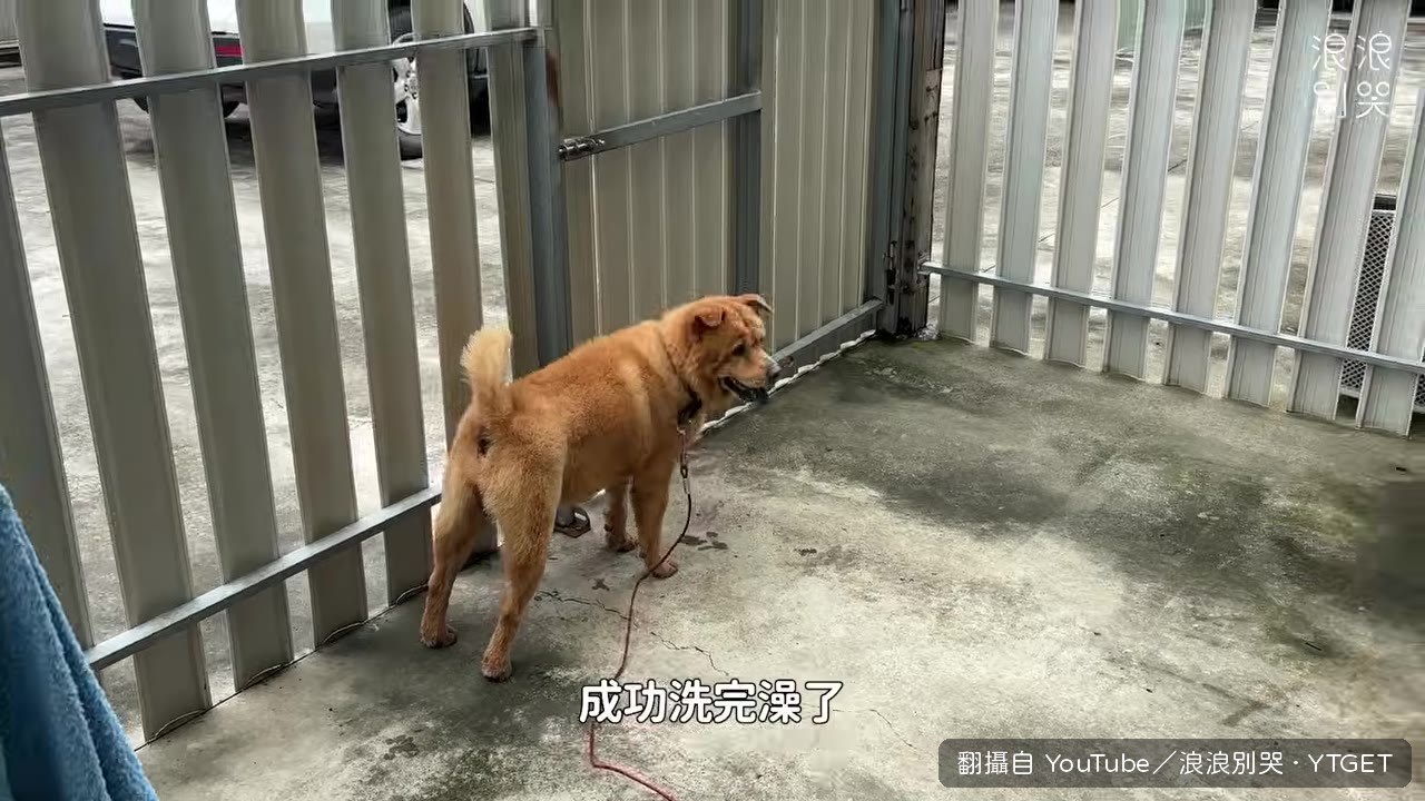 成功洗完澡了