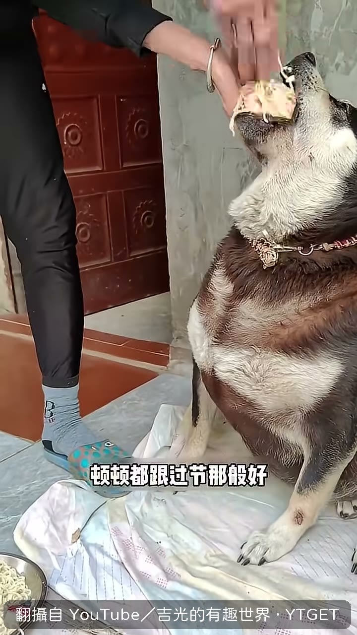 奶奶覺得你餓的標準