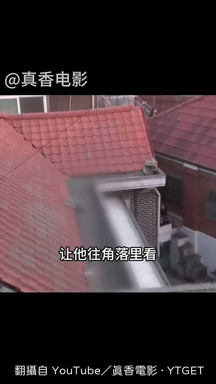 橘貓從屋頂探出頭來