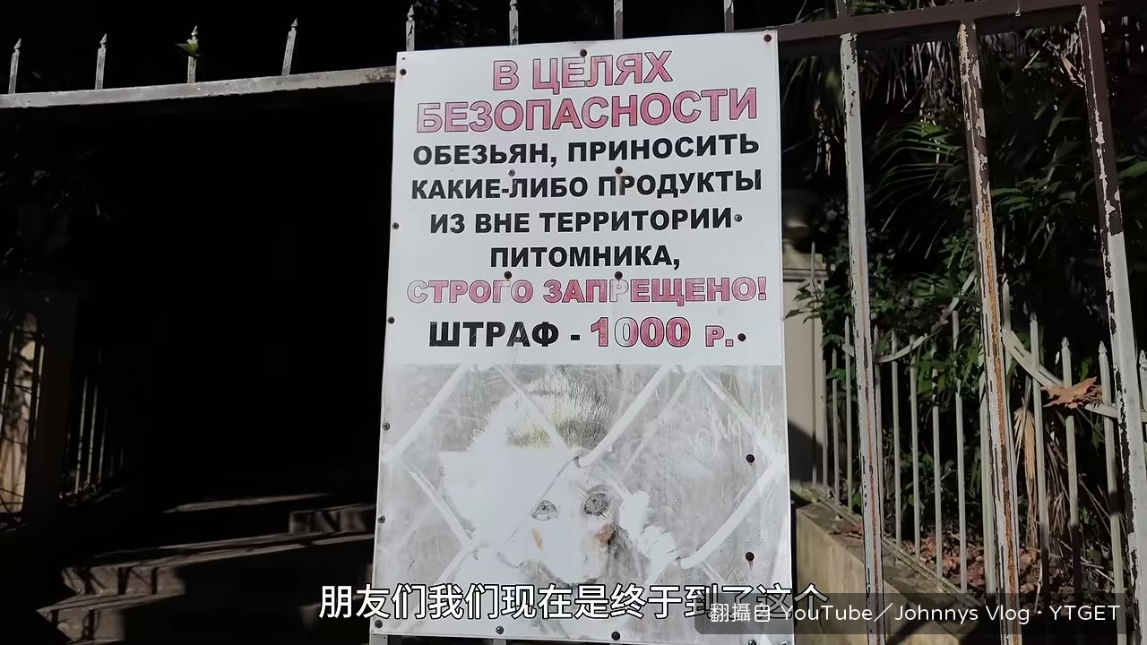 終於抵達蘇聯時期的人猿雜交基地