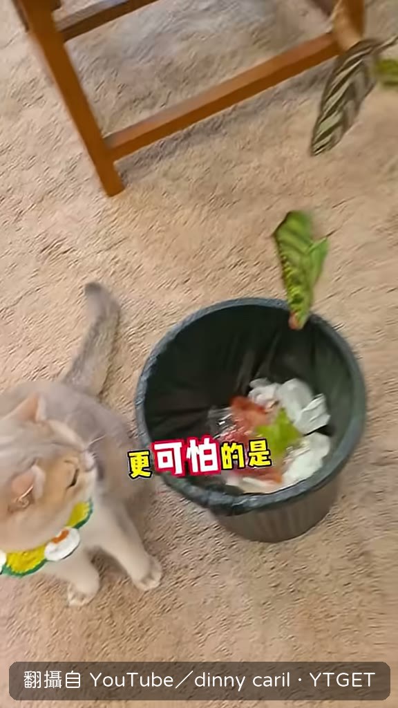 閨蜜買的捏捏被說有毒