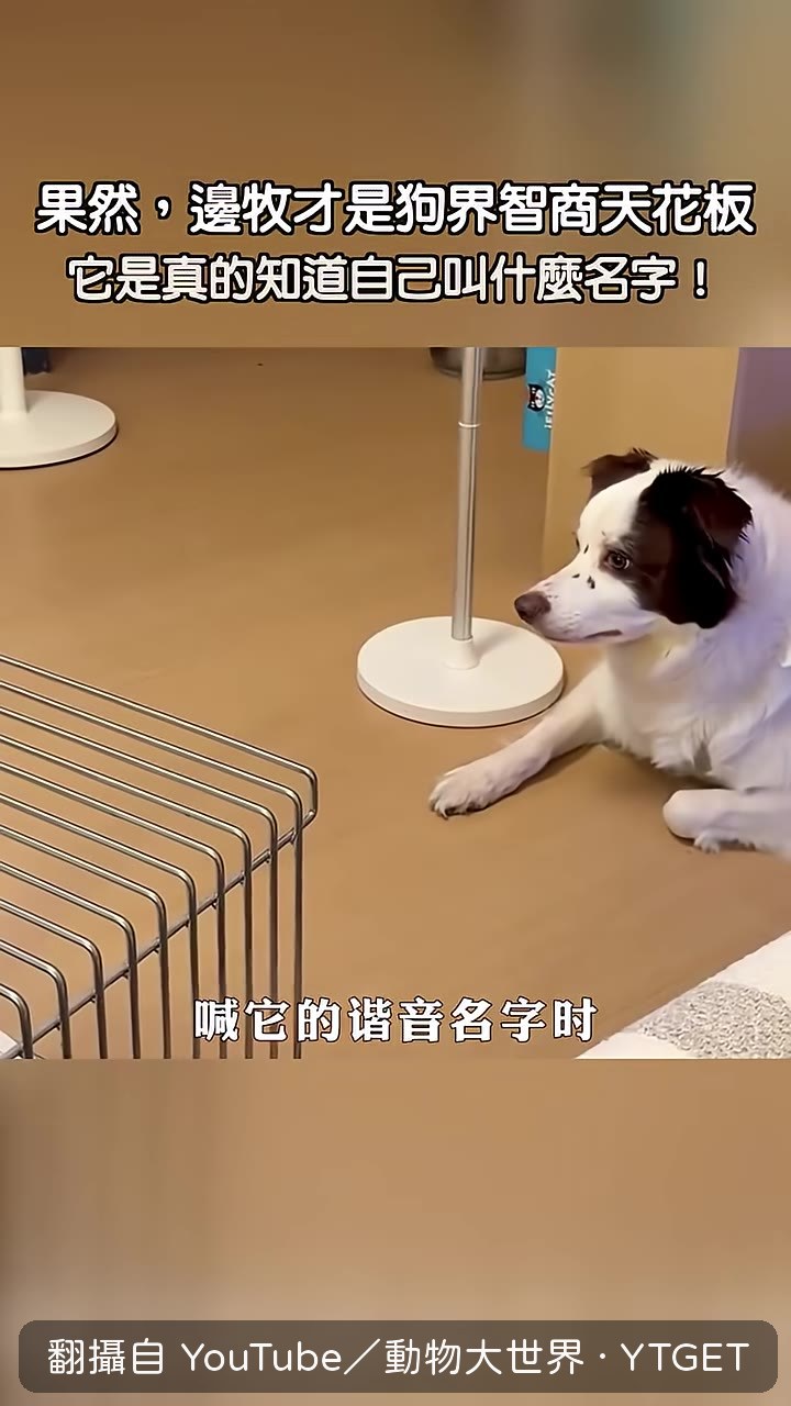 Lucky表情開始不對勁,走向小姐姐確認門口