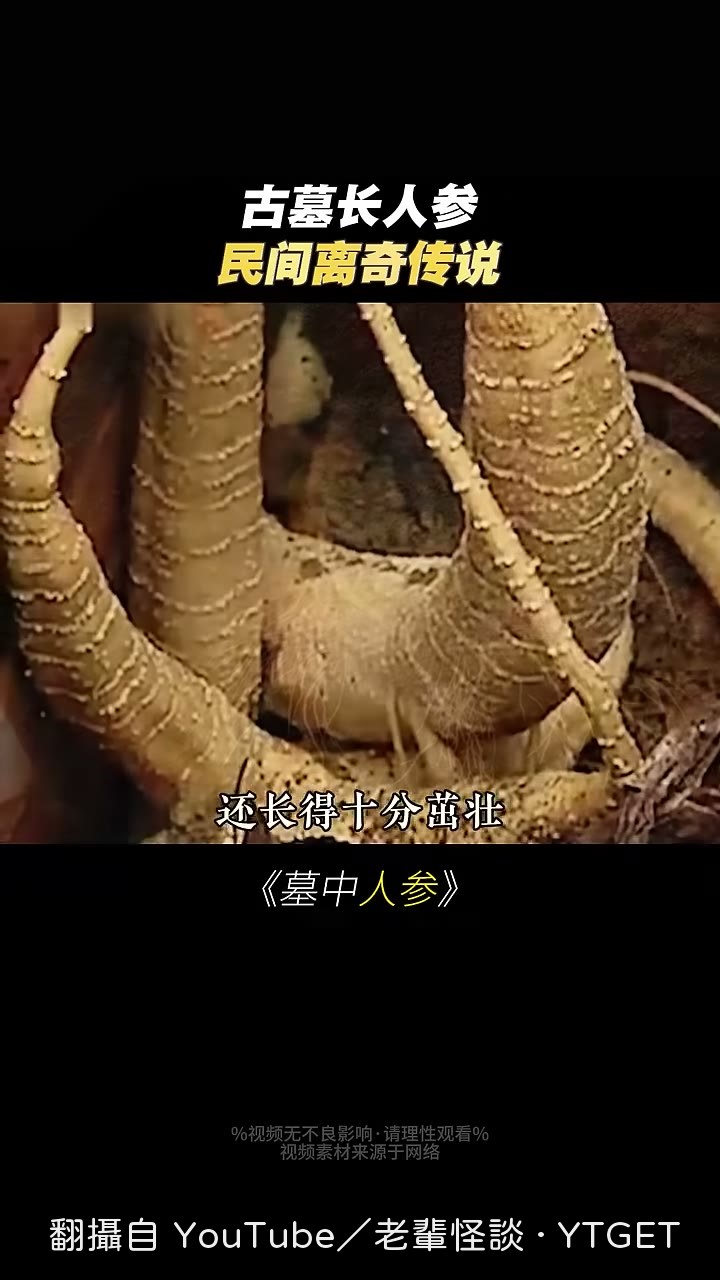 墳裡長出像人參的植物
