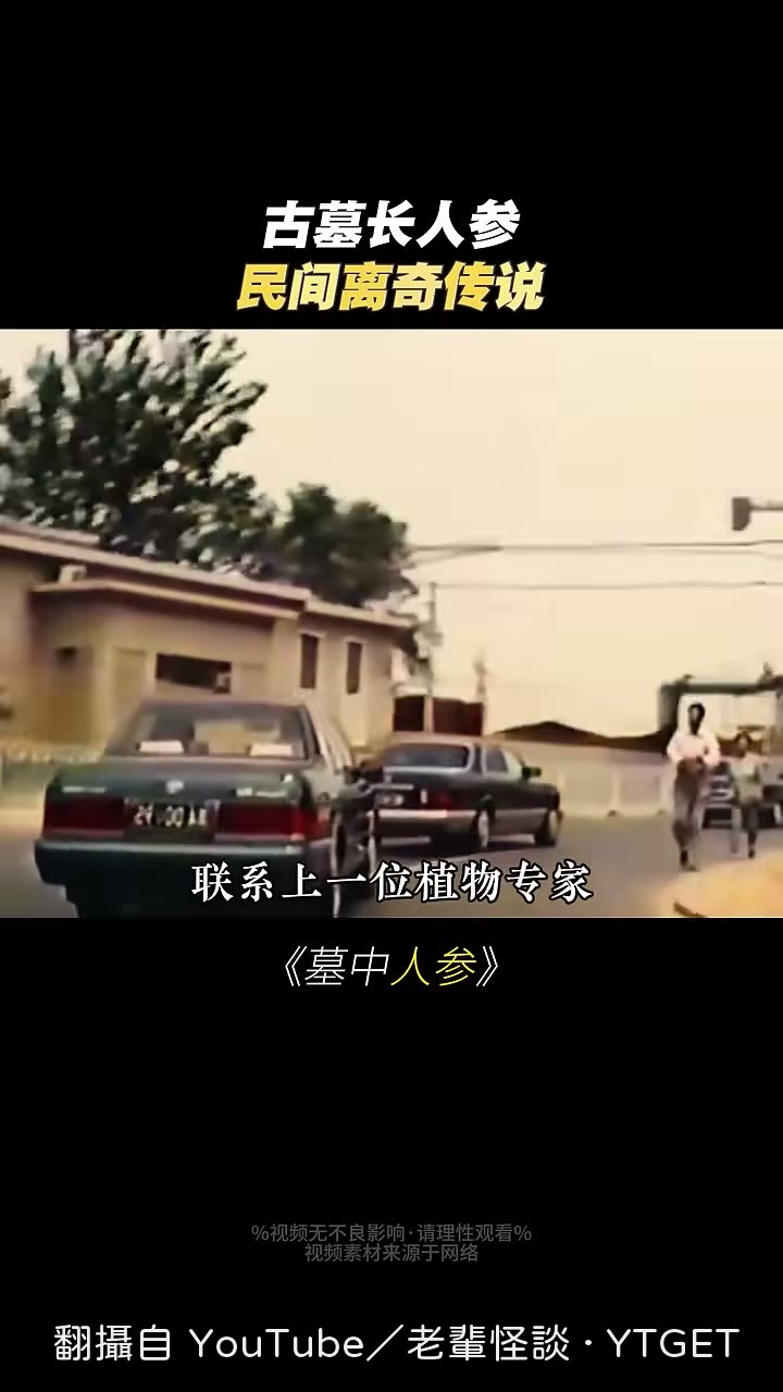 專家一看照片就否認是人參