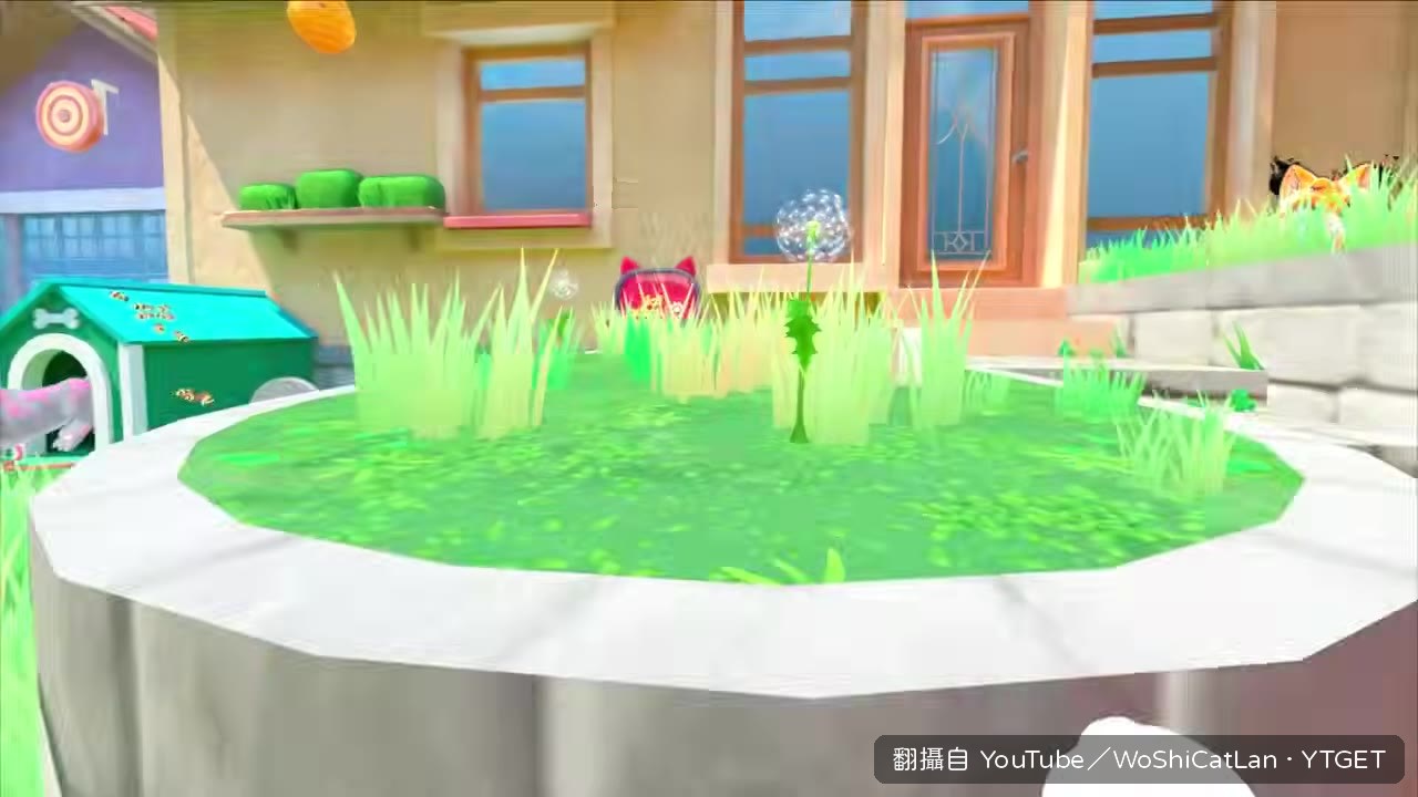 蜜蜂追著 Rex 跑，奶奶在旁邊傻眼