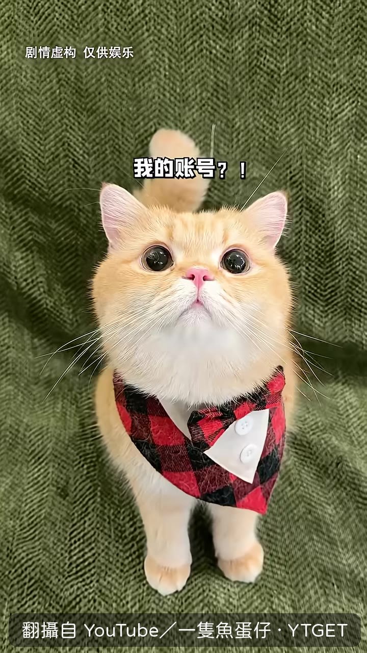 魚蛋的帳號被換成一隻魚鹿