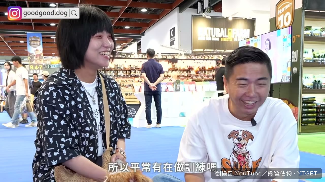 傑克羅素坐下示範，熊爸說坐下不是禮貌