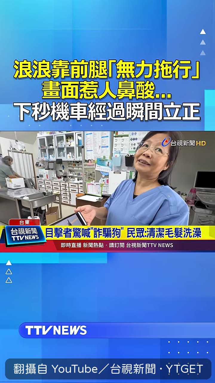 獸醫師解釋狗狗拖行行為
