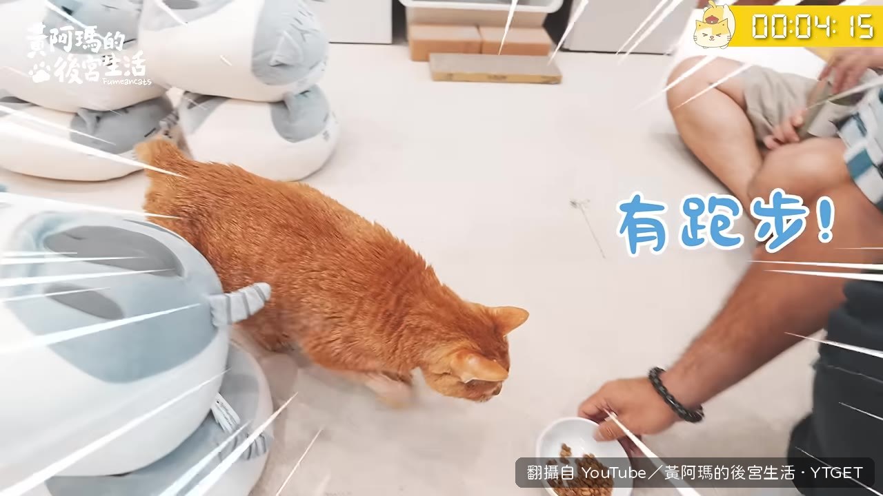魯魯跑出4秒8的驚人成績
