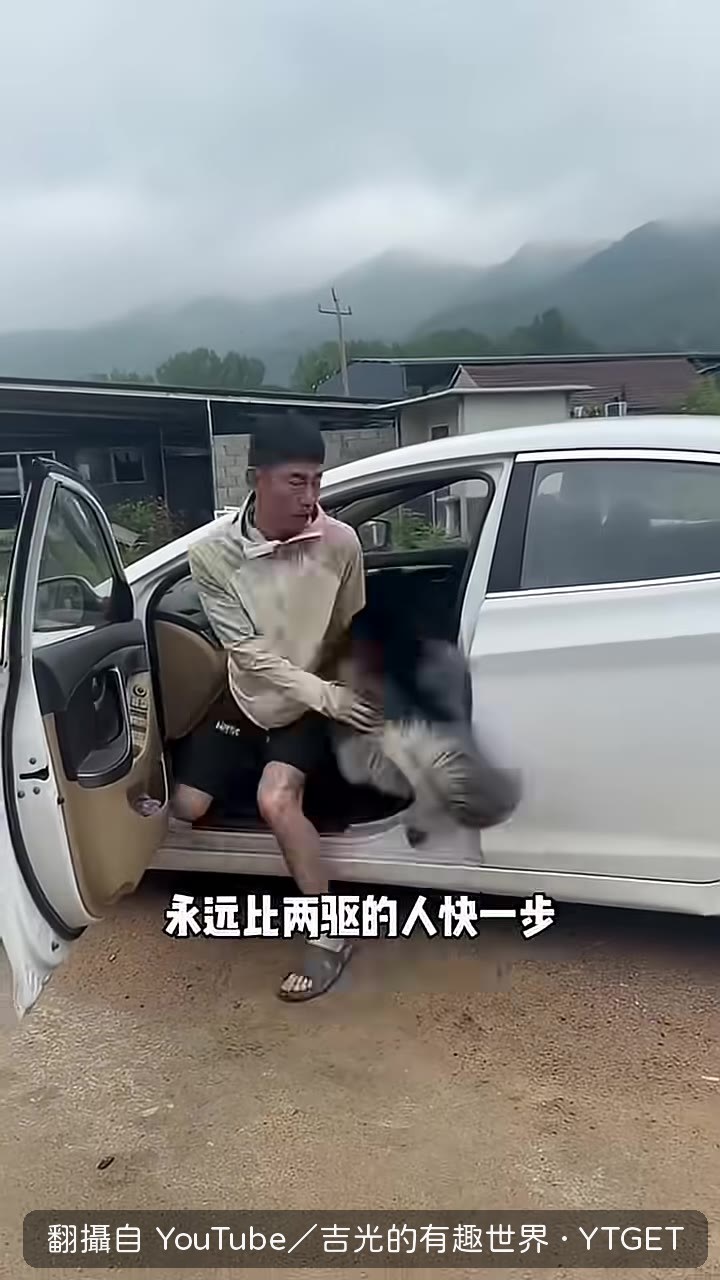 七月得手後挑釁看著主人