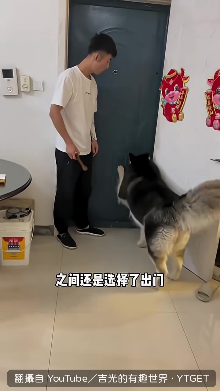 七月只肯上符合身份的車