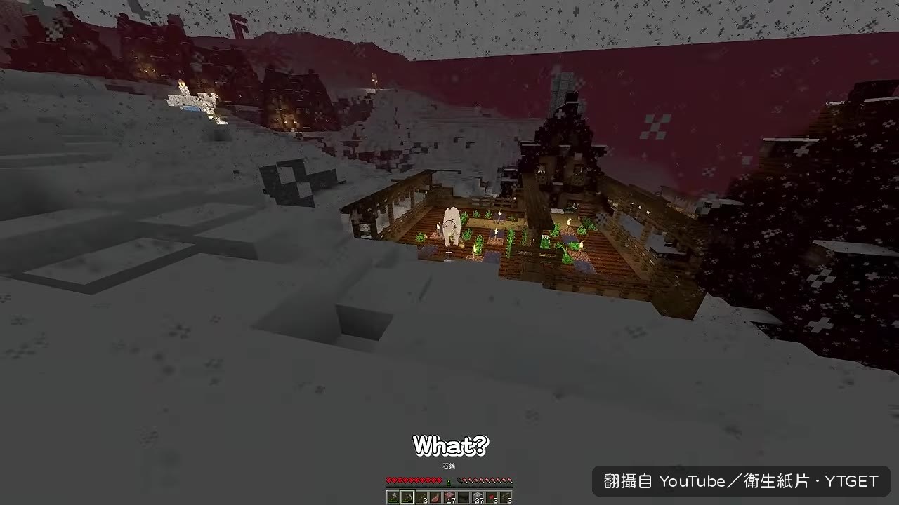 北極熊現身