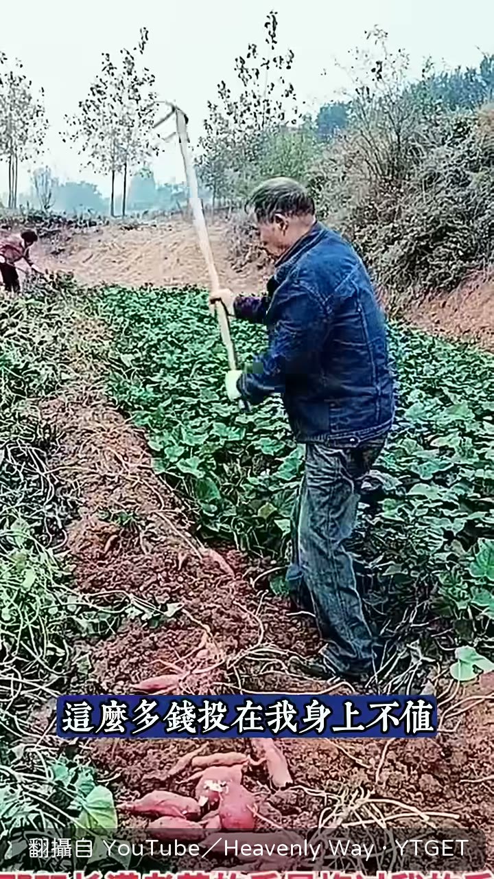 媳婦拿出那張三十六萬的銀行卡