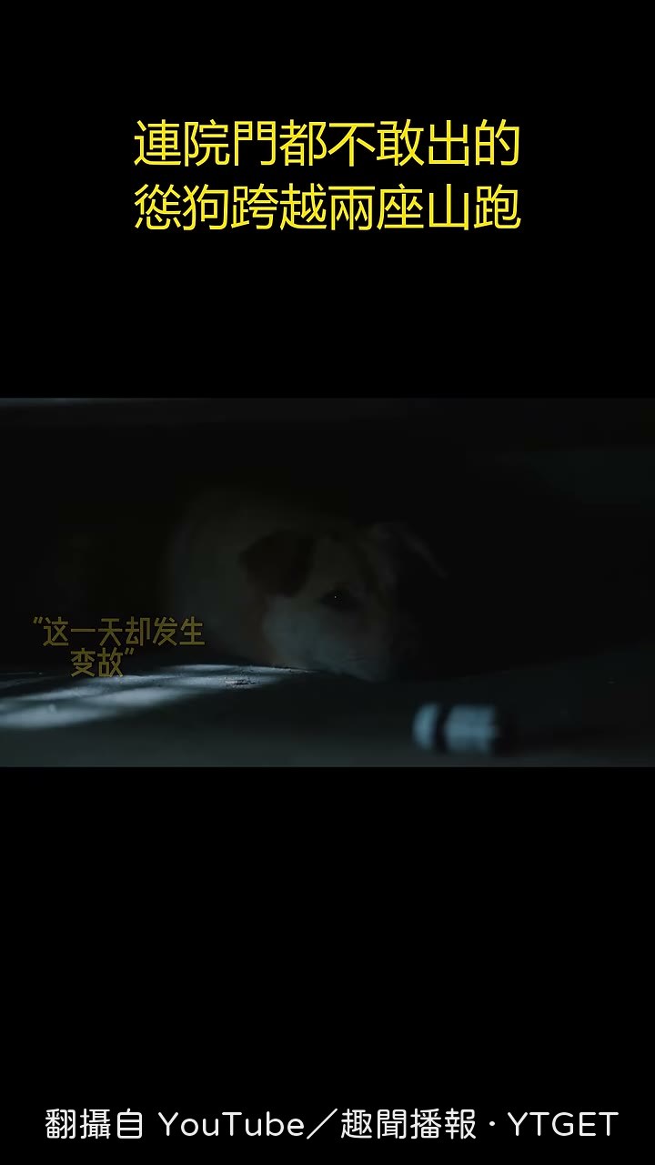 旁人罵牠是失敗者