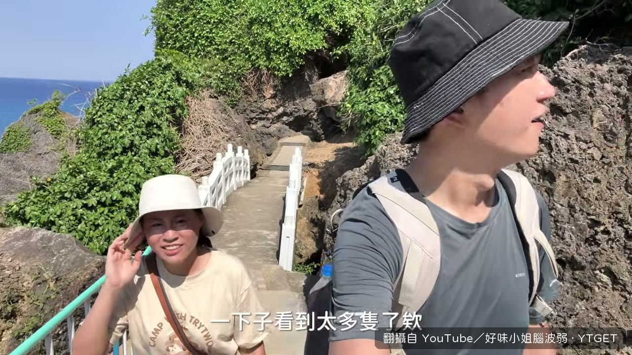 終於看到海龜，還不只一隻