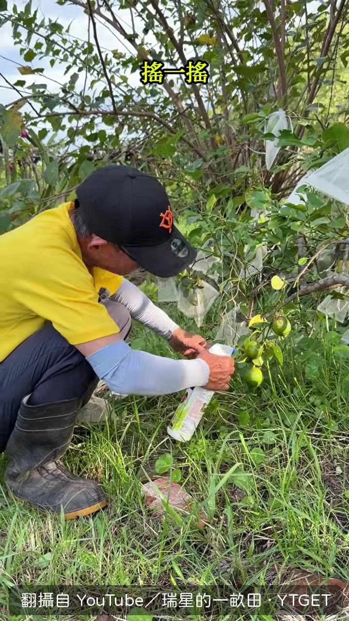 市售防蟲資材，按壓就能用