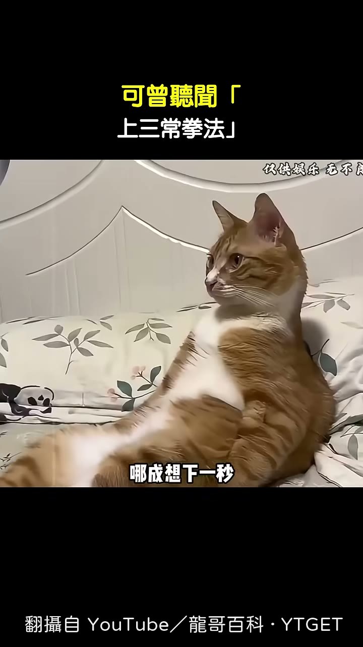 大爺示範往前躲再押出去