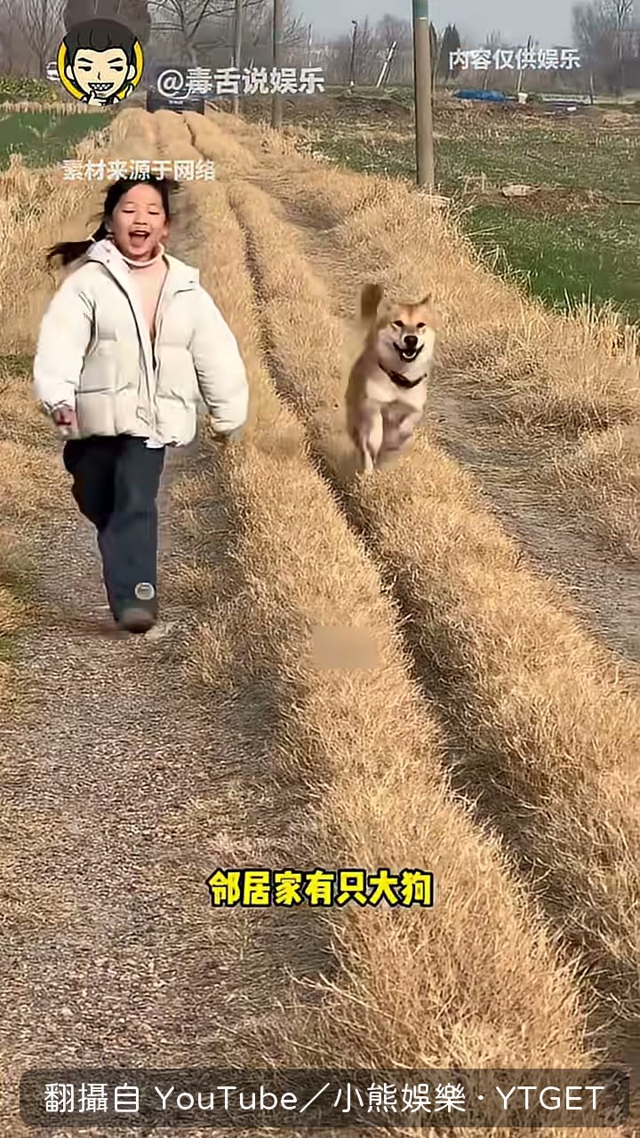 鄰居的狗只偷吃別人家的臘肉