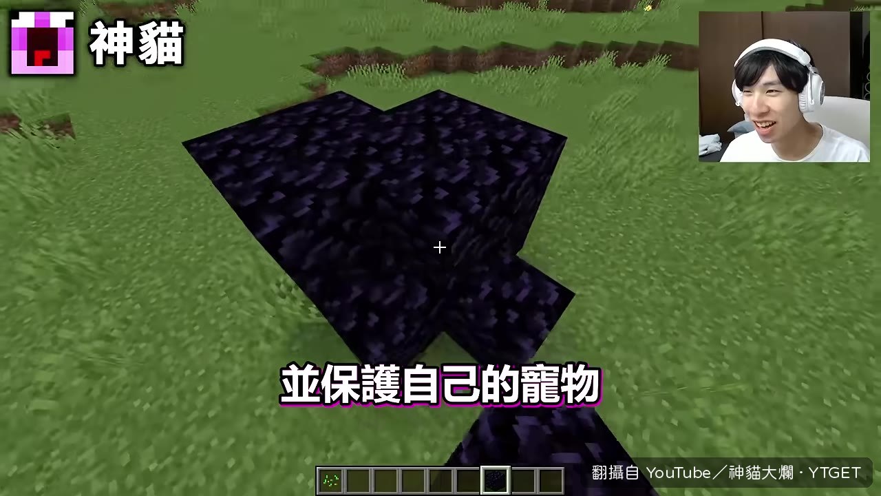 貓咪、狗狗和鑽石磚準備接受TNT考驗