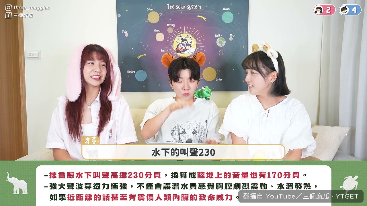 抹香鯨叫聲高達230分貝